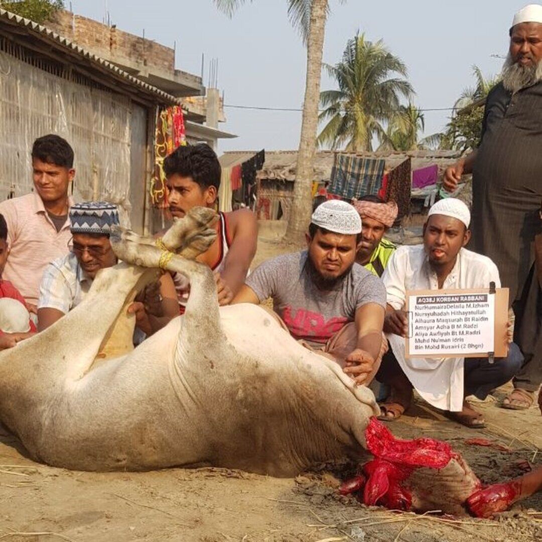 Qurbani